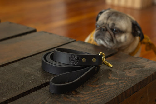 Dog Leash